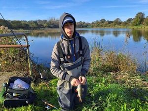 European Perch