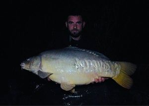 Mirror Carp