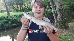 Northern Pike
