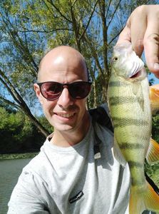 European Perch