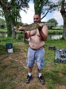 Zander