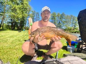 Common Carp