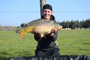 Mirror Carp