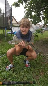 Zander