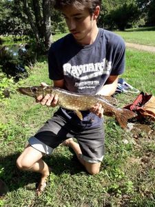 Northern Pike