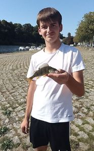 European Perch