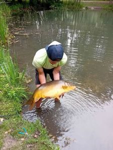 Mirror Carp złowiony przez Marius🐟🎣 crossing the streams