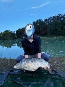 Mirror Carp