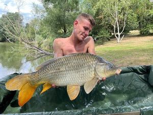 Common Carp