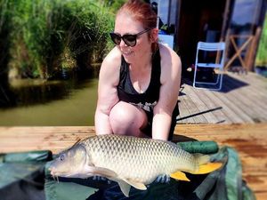 Common Carp
