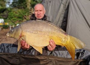 Mirror Carp