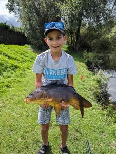 Mirror Carp