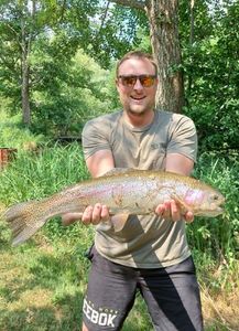 Rainbow Trout
