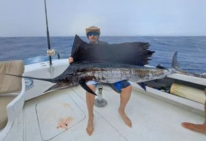 Pacific Sailfish