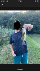 Largemouth Bass