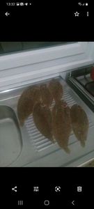 Sole