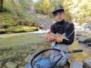 Brown Trout