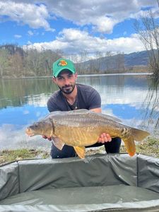 Leather Carp