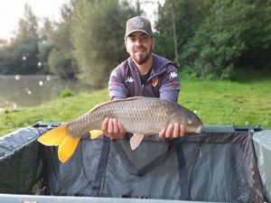Common Carp