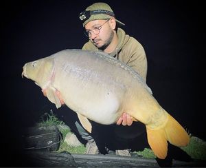 Mirror Carp