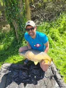 Mirror Carp