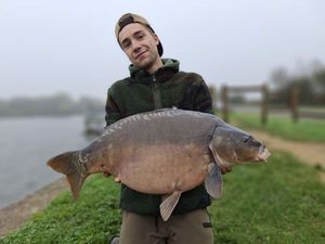 Mirror Carp