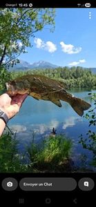 Largemouth Bass