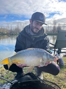 Mirror Carp