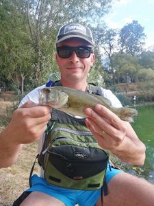 Largemouth Bass
