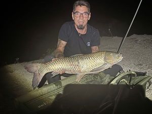 Silver Carp
