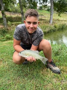 Largemouth Bass