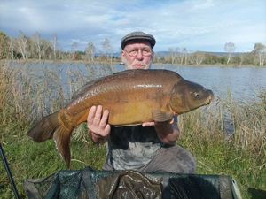 Mirror Carp