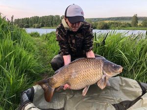 Common Carp