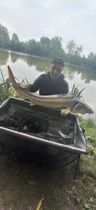 Sturgeon