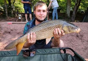 Common Carp