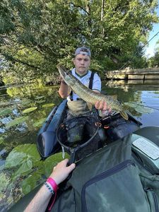 Northern Pike
