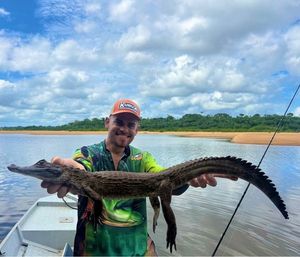 Yacare Caiman