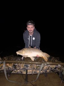 Mirror Carp
