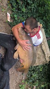 Leather Carp