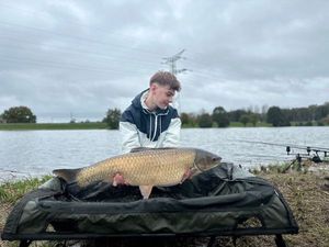 Grass Carp