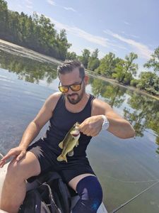 Largemouth Bass