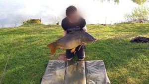 Mirror Carp