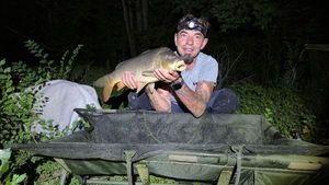 Common Carp