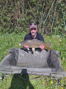 Common Carp