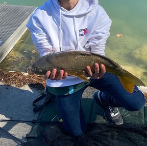 Leather Carp