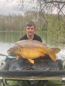 Mirror Carp