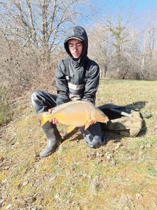 Mirror Carp
