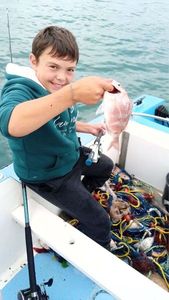 Alfonsino