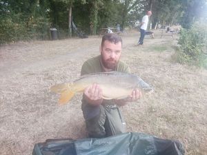 Mirror Carp