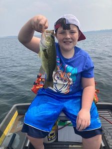 Largemouth Bass
